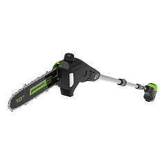 Greenworks GD60PST25 60V (25 см)