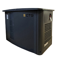 CTG CG17000TSA - газовый генератор